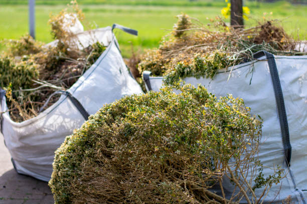 Best Commercial Cleanout Services  in Moose Wilson Road, WY